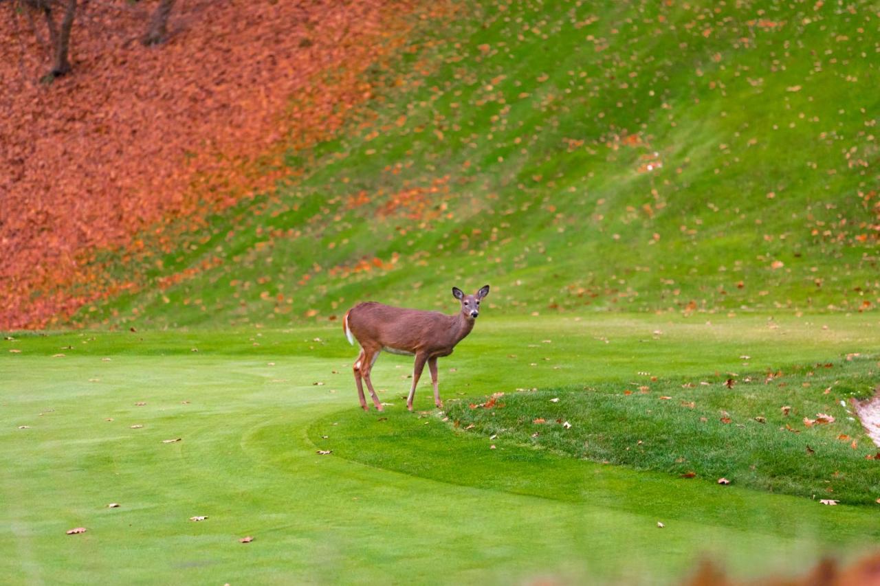 Crown Resorts At Wolf Run ดูบัวส์ ภายนอก รูปภาพ
